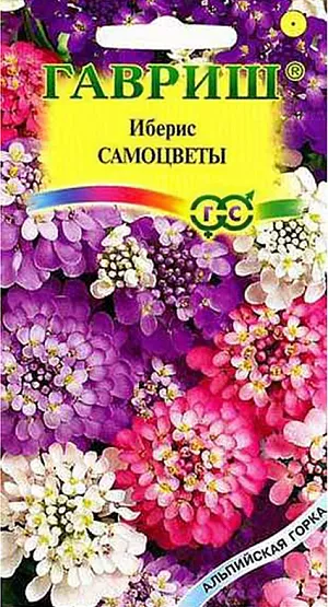 Семена Иберис Самоцветы.
Однолетнее низкорослое растение высотой до 30 см из семейства Крестоцветные. 
Быстро образует кустик, усыпанный шапками зонтиковидных соцветий диаметром 5-6 см, белого, розового и лилового цвета, состоящих из мелких душистых цветков.
Цветет с июня в течение 2-х месяцев. Иберис неприхотлив, зимостоек, предпочитает дренированные легкие суглинистые почвы и хорошо освещенные места. Выращивают посевом в открытый грунт в мае или под зиму на глубину 0,5 см. Также выращивают рассадным способом. Рекомендуется для бордюрных обсадок, миксбордеров, рокариев, оформления края садовых дорожек. 
Оптимальная для прорастания семян температура почвы 18-20°С.