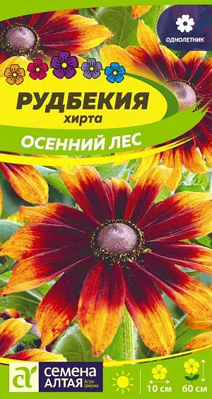Рудбекия хирта Осенний Лес из каталога Рудбекия Рудбекия хирта Осенний Лес
Крайне неприхотливый яркоцветущий однолетник. Растение до 60 см высотой кустистое, с множеством крепких жесткоопушенных цветоносов, крупными листьями и множеством ярких соцветий-корзинок диаметром до 10 см. Центр корзинки темный, выпуклый, окружен лучисто-расходящимися язычковыми цветками, меняющими свою окраску от красно-коричневой в центре до золотисто-желтой к краям. Цветение длительное, с июля до глубокой осени. Рудбекия незаменима для групповых посадок на клумбах и в миксбордерах, а в садовых вазах она превращается в яркий неувядающий букет. Светолюбивое, засухо- и морозоустойчивое растение. Предпочитает солнечные участки с питательной, хорошо обработанной почвой. При выращивании рассадой семена высевают в феврале-марте в рассадные ящики на глубину не более 0,5 см, увлажняют из распылителя, накрывают стеклом и содержат при температуре +18-24оС. Посевы регулярно проветривают. Сеянцы пикируют в отдельные горшочки в фазе 2-х пар настоящих листьев. В открытый грунт рассаду высаживают в конце мая.