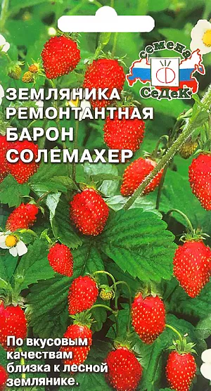 Семена Земляника (клубника) Барон Солемахер ремонтантная