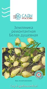 Семена Земляника (клубника) ремонтантная Белая душевная F1 0,2гр