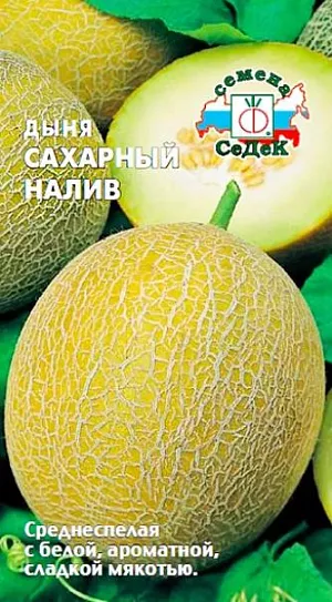 Семена Дыня Сахарный налив