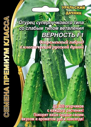 Семена Огурец Верность F1 Семена Огурец Верность F1
