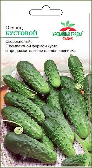Семена Огурец Кустовой