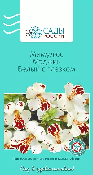Мимулюс Мэджик Белый с глазком

Цветки завораживают и притягивают своей необычностью. К его достоинствам относятся теневыносливость и терпимость к повышенной влажности почвы. Для пышности цветения молодые кусты лучше прищипывать. Полив обильный. Холодостойкий. Рассаду высаживают в грунт после того, как минует угроза возвратных заморозков.