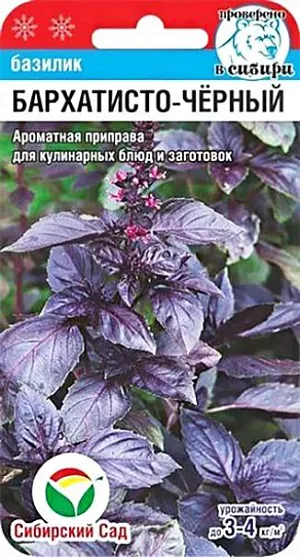 Семена Базилик Бархатисто-черный Семена Базилик Бархатисто-черный