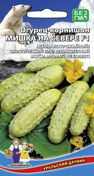 Семена Огурец Мишка на Севере- корнишон