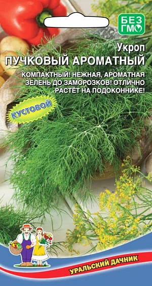Семена Укроп Пучковый ароматный Семена Укроп Пучковый ароматный