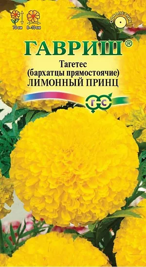Семена Бархатцы Лимонный принц прямостоячие.
Одно из самых распространенных однолетних растений семейства Астровые. Образует куст высотой 70 см с ясно выраженным главным побегом.
Соцветия крупные (8-10 см в диаметре) густомахровые, шаровидные, лимонно-желтой окраски. Цветет с июня по сентябрь. 
Бархатцы светолюбивы и теплолюбивы, заморозков не переносят, к почвам нетребовательны, но предпочитают плодородные легкие почвы.
Выращивают, как правило, рассадным способом. Посев проводят во второй половине марте-начале апреля. Всходы появляются через 4-8 дней после посева, сеянцы пикируют в фазе 2-го настоящего листа. Рассаду высаживают в начале июня, расстояние между растениями 30-35 см.
Используют для посадки на клумбах, в группах, для получения срезки.