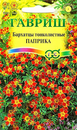 Семена Бархатцы Паприка тонколистные.<br>
Обильно цветущий сорт для ярких нарядных цветников. Растение сильноветвистое, формирует раскидистый кустик с изящными перисто-рассеченными листьями. В пору цветения растение похоже на цветущий шар, усыпанный красно-коричневыми с желтой серединкой соцветиями-корзинками до 3 см в диаметре. Бархатцы теплолюбивы и светолюбивы, засухоустойчивы, отзывчивы на плодородие почв. На рассаду высевают в начале апреля. В открытый грунт можно высевать в конце мая – начале июня. Всходы появляются на 5-10 день. Широко используются в озеленении при оформлении бордюров, для выращивания в контейнерах, вазонах. Пригодны для выращивания в ампелях на балконах и лоджиях.