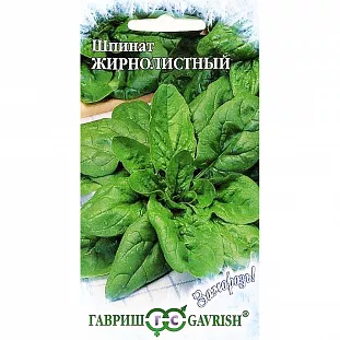 Семена Шпинат Жирнолистный Семена Шпинат Жирнолистный