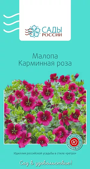 Малопа Карминная роза 0,2гр из каталога Разные Малопа Карминная роза
Пышное, очень эффектное растение с мощными ветвистыми стеблями и множеством крупных, до 9 см в диаметре, прелестных карминно-розовых воронковидных цветков на длинных тонких цветоножках. Для малопы лучше всего подходят питательные рыхлые качественные грунты с хорошей водопроницаемостью. Отлично переносит обрезку. Ее производят для формирования кустов и использования соцветий в букетах. Холодостойка и неприхотлива.