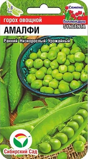 Семена Горох Амалфи Семена Горох Амалфи