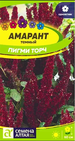 Семена Амарант "Пигми Торч" темный.<br>
 Декоративное растение высотой до 60 см, с характерной бордовой окраской цветоносов, соцветий и прожилок листьев, благодаря которой растение выделяется в цветниках среди прочих растений. Побеги густооблиственные, переходят в пирамидальные метельчатые соцветия до 40 см длиной, приобретающие к осени каштановый оттенок. Интересно смотрится в различных композициях зимних букетов. Тепло- и светолюбивое растение. Предпочитает солнечные участки на плодородных дренированных, достаточно увлажненных легких почвах с нейтральной реакцией. Посевы на рассаду проводят в конце марта - начале апреля в ящики. Дренаж обязателен! Семена смешивают с речным песком в пропорции 1:15 и распределяют по поверхности увлажненного субстрата, сверху заделывают слоем грунта 1-2 см. Посевы увлажняют, накрывают пленкой и помещают в теплое место, периодически открывая для проветривания.