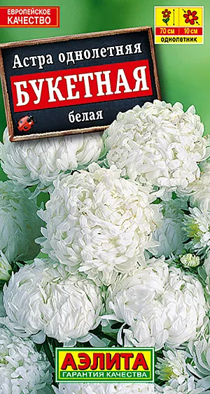Астра Букетная белая из каталога Астра Семена Астра Букетная белая.
Популярная группа кустовых астр. Формирует крепкий, стройный куст высотой 60-65 см. Многочисленные прочные цветоносы увенчаны изящными соцветиями 8-9 см. Цветение длительное и обильное – с июля по октябрь. Использование универсальное – для украшения цветников и на срезку.
Агротехника. Выращивают рассадным способом. С развитием первой пары настоящих листочков сеянцы пикируют. На постоянное место рассаду высаживают в возрасте 30-35 дней. Возможен посев семян в открытый грунт весной или под зиму, в конце октября, на глубину 0,5-1 см. Растениям необходимы регулярные поливы, прополки, рыхления и подкормки.