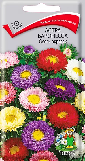 Семена Астра Баронесса смесь окрасок из каталога Астра Семена Астра Баронесса смесь окрасок. Изысканная аристократка! Растение высотой около 60 см. Куст компактный, цилиндрический, стебли плотные. Соцветия плоскоокруглые белые, желтые, лососевые, розовые, красные, фиолетовые. Цветет в июле-сентябре. Используют очень широко: для посадки в сборные цветники группами, на рабатки - рядами, для бордюров и срезки.<br>
<br>
Растение предпочитает открытое солнечное место, но выносит и полутень. Лучше растет на легких, плодородных почвах. Не переносит внесения органических удобрений в год посадки.<br>
<br>
Семена высевают с середины февраля по апрель. Глубина заделки семян 0,5 см. При температуре почвы +20°С всходы появляются на 7-14 день. Через 3-4 недели сеянцы пикируют и выращивают при температуре 12-15°С. В грунт рассаду высаживают во второй половине мая, выдерживая расстояние между растениями 20-30 см.