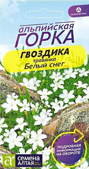 Гвоздика травянка Белый Снег из каталога Гвоздика Семена Гвоздика травянка "Белый Снег".<br>
Элегантный нежный многолетник. Растение имеет вид куста, состоящего из нескольких стеблей длиной до 20 см. Листья линейно-ланцетные шириной около 3 мм образуют прикорневые розетку и имеют бледно-зеленый оттенок. На каждом побеге расположено по одному соцветию. Цветки белые мелкие, 2-2,5 см в диаметре, душистые. Используется для посадки на каменистых горках, в рокариях, балконных ящиках, между плитами мощения. Светолюбивое, морозостойкое растение, переносит холода до -35°С, не нуждается в укрытии на зиму. Устойчиво к засухе, не требует частых поливов. Гвоздика травянка неприхотлива, одинаково хорошо чувствует себя в лесу, саду, поле и горной местности. Предпочитает открытые солнечные участки и легкие дренированные почвы с низкой кислотностью. Выращивают посевом семян в открытый грунт с середины апреля до конца мая, когда минуют холода. Глубина заделки 0,5-1,5 см. При температуре +18…+20°C всходы появляются на 7-14 день. После появления на сеянцах двух настоящих листочков всходы пикируют или прореживают, оставляя между растениями 25-30 см. Период цветения составляет 1,5 месяца (с июня по июль). Допустим подзимний посев в октябре: семена за зиму пройдут естественную стратификацию и ранней весной появятся дружные всходы.