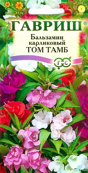 Семена Бальзамин Том Тамб.
Эти однолетние растения привлекательны широкими, хорошо разрастающимися кустиками до 20 см высотой, с яркими махровыми цветками. 
Листья ланцетные, пильчатые. Цветки сидячие, многочисленные, различных оттенков розового, лилового, фиолетового, красного. 
Тепло- и светолюбив, выдерживает небольшое затенение. Хорошо растет на легких плодородных почвах. 
Раннее прищипывание побегов способствует сильному ветвлению. 
Используют для ярко цветущих бордюров, клумб, вазонов, балконов, а также как комнатное горшечное растение.
