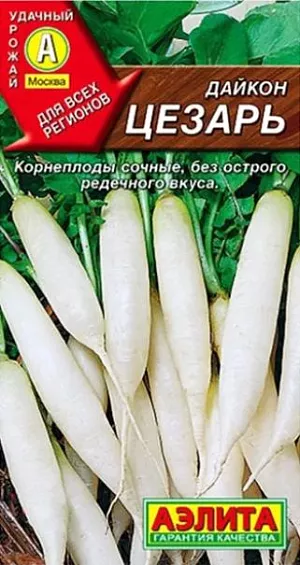 Семена Дайкон Цезарь