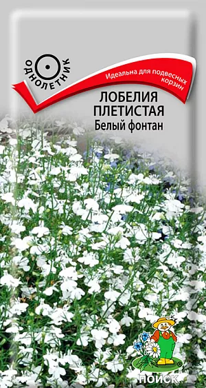 Семена Лобелия плетистая Белый фонтан.
Идеальный сорт для подвесных корзин и контейнеров. Красивое травянистое растение со свисающими побегами (длиной до 30 см), усыпано чисто-белыми цветками. Листья светло-зеленые. Цветет с июня по сентябрь.
Агротехника. Растение неприхотливое, наибольшей декоративности достигает на открытых солнечных местах. Предпочитает суглинистые или супесчаные почвогрунты. При выращивании рассады посевы проводят в феврале. Семена слегка вдавливают в почву, землей не присыпают. Посадочную емкость накрывают стеклом и ставят в освещенное теплое место. При температуре почвы +20°C всходы появляются на 7-14 день. Сеянцы пикируют в легкую землю. Рассаду высаживают после окончания весенних заморозков. Для лучшего кущения верхушки молодых растений прищипывают. Семена соответствуют требованиям международных стандартов и ГОСТу РФ 12260-81