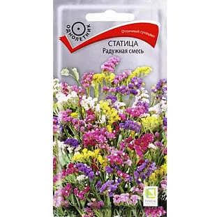 Семена Статица Радужная смесь Семена Статица Радужная смесь