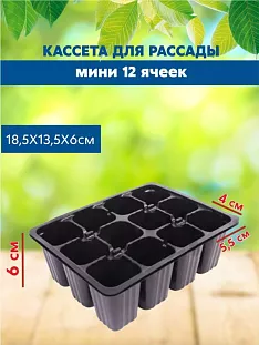 Баклажан Белый голубь как правильно сажать и ухаживать Баклажан Белый голубь: советы по посадке и уходу