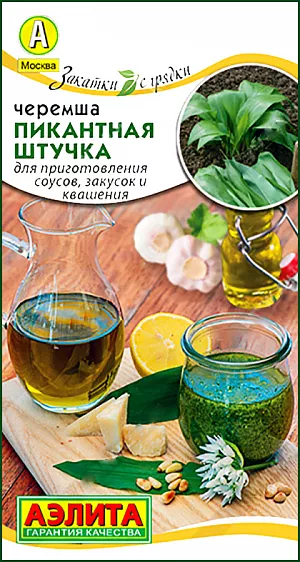 Черемша Пикантная штучка Черемша Пикантная штучка