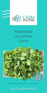 Кориандр на зелень Санто