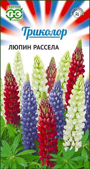 Семена Люпин Триколор<br>
 <br>
 Многолетняя красивоцветущая смесь в бело-сине-красных оттенках флага России. Растения высокие (100 см), с вертикальными цветоносами, в нижней части украшены эффектными пальчатыми листьями. Соцветие–плотная, многоцветковая кисть длиной до 45 см, с многочисленными душистыми цветками размером 2 см. Цветет с первых чисел июня в течение 30-40 дней. Люпин светолюбив, но выносит легкую полутень. Хорошо растет на любых нетяжелых почвах с рН 5,5-6,0. Семена высевают под зиму или ранней весной непосредственно в грунт. Смесь эффектно смотрится в посадках большими массивами на дальнем плане или на газонах перед живой изгородью.<br>