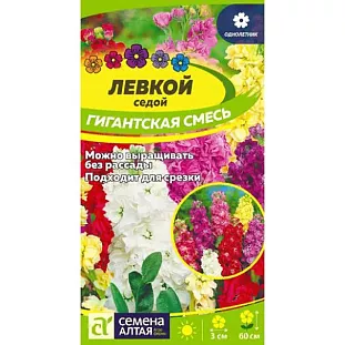 Левкой Гигантская Смесь окрасок