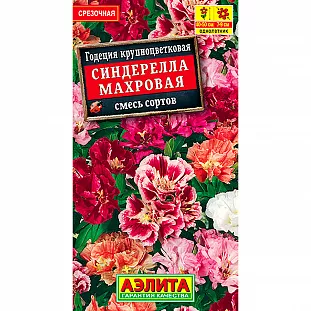 Годеция Синдерелла крупноцветковая махровая, смесь сортов