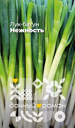 Семена Лук батун Нежность