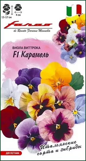 <div>
 Семена Виола Карамель F1.
</div>
 <article>
<p>
 Серия итальянских гибридов «F1 Карамель» сочетает удивительно красивые оттенки крупных (4 см.) цветков с жизнестойкостью растений. Гибриды неприхотливы, обильно цветут в любых условиях, ровные одинаковые кустики, сочная зелень и цветки не повреждаются от ветра и сильного дождя. Эти качества делают серию «F1 Карамель» фаворитом озеленения открытых балконов, особенно на высоких этажах. 
</p>
<p>
  Растение влаголюбивое, холодостойкое, хорошо растет на солнце и в полутени. Для получения растений, цветущих в год посева, семена высевают на рассаду в феврале-марте. Всходы появляются через 5-7 дней. В открытый грунт рассаду высаживают в конце апреля-начале мая на расстоянии 20 см. Хорошо переносят пересадку в цветущем состоянии. При посеве в открытый грунт в июне-июле, цветение наступает на второй год.
</p>
 </article>