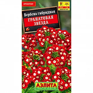 Семена Вербена Гранатовая звезда