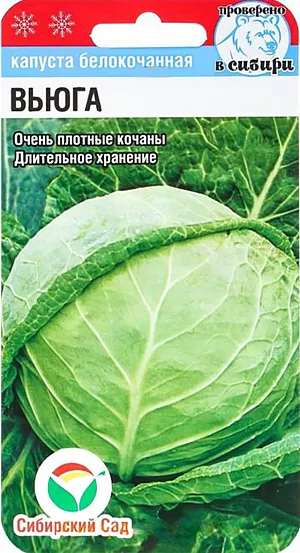 Семена Капуста белокочанная Вьюга