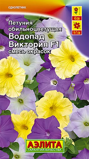 Семена Петуния Водопад Виктория обильноцветущая смесь окрасок F1.
Обильноцветущая петуния Водопад Виктория очаровывает красотой своих крупных (до 7 см в диаметре) атласных цветков. Гармония, рожденная из смеси нежно-лилового, сиреневого и желтого цвета, и чудесный аромат, будет навевать романтические мысли и придаст саду изысканность и нарядность. Гибрид отличается прекрасным внешним видом, ранним, продолжительным и очень дружным цветением, неприхотливостью и устойчивостью к неблагоприятным погодным условиям. Петуния незаменима в оформлении клумб, бордюров, вазонов, кашпо и балконных ящиков. Агротехника. Посев на рассаду с февраля до середины марта. Чем раньше посеяны семена, тем раньше наступает цветение. Февральским посевам требуется дополнительная подсветка. Семена в драже прорастают на свету! Сеют поверхностно, без заделки, под стекло или пленку для сохранения постоянной влажности. Всходы появляются на 5-6 день. Пикировка в фазе 1-2-х настоящих листьев. Высадка в грунт закаленной рассады в конце мая, с шагом 20-25см. Петуния – культура сравнительно неприхотливая, очень пластичная, хорошо адаптируется к любым условиям.