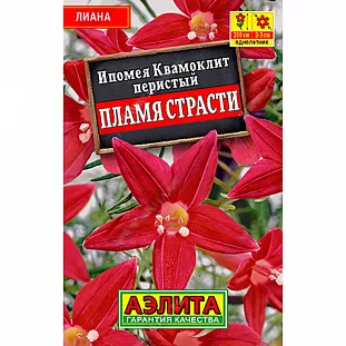 Ипомея Квамоклит Пламя страсти