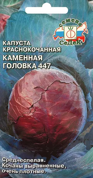 Семена Капуста краснокочанная Каменная головка 447