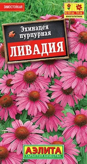 Семена Эхинацея пурпурная Ливадия. Зимостойкий многолетник. Куст высотой 80-100 см, с крупными соцветиями-корзинками диаметром 7-8 см. сделает честь любому цветнику. Наиболее органично растение смотрится в цветниках природного стиля. Дает прекрасную срезку, долго сохраняющую свежесть в воде. Кроме высоких декоративных качеств, эхинацея известна лекарственными свойствами.<br>
 <br>
 Семена не нуждаются в стратификации. Эхинацея – растение свето- и теплолюбивое, засухоустойчивое. Предпочитает плодородные, хорошо дренированные почвы с нейтральной кислотностью. Возможен безрассадный способ выращивания, но растения в этом случае зацветут на второй год.<br>