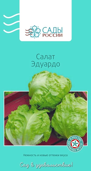 Салат листовой Эдуардо Салат листовой Эдуардо