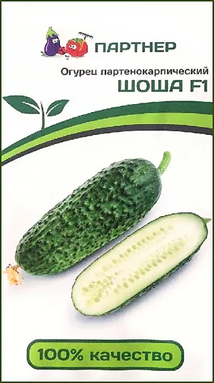 Семена Огурец Шоша F1