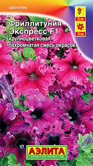 Семена Фриллитуния Экспресс смесь крупноцветковая бахромчатая из каталога Петуния Семена Фриллитуния Экспресс смесь крупноцветковая бахромчатая.
Фриллитуния неприхотливая, засухоустойчивая, хорошо переносит воздействие дождя и ветра не теряя своей декоративности. Кустики не требуют обрезки и формирования, остаются плотными и низкими в течение всего сезона. Цветение раннее, обильное и продолжительное. Высота растений 18-23 см, диаметр цветков 9-10 см. Идеально подходит для выращивания в садовых вазах, балконных ящиках и кашпо.
Выращивается через рассаду. Семена в гранулах! Гранулы располагают на поверхности почвы, не заделывая их, хорошо увлажняют из распылителя. При попадании влаги на гранулу оболочка должна раствориться. Посевы накрывают стеклом для сохранения постоянной влажности до полных всходов.Февральским посевам требуется дополнительная подсветка. Сеянцы пикируют в фазе 1-2-х настоящих листьев. В фазе 5-6 листьев проводят формирующую прищипку. Рассаду высаживают в открытый грунт, когда минует угроза заморозков.