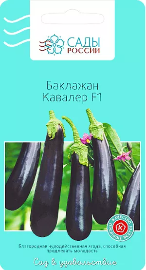 Семена Баклажан Кавалер F1