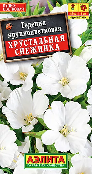 Семена Годеция Хрустальная Снежинка.
Однолетнее, обильноцветущее растение с многочисленными цветками чашевидной формы. Цветки крупные (ø 4-6 см), шелковистые, переливающиеся перламутром, собраны в плотные, короткие кисти. Цветение раннее и продолжительное. Растения высотой 30-40 см, сильно кустистые, устойчивые к непогоде. Годеция отлично смотрится в рабатках, бордюрах и миксбордерах. Великолепно подходит для срезки, сохраняя в воде до 3-х недель свежесть и красоту.
Агротехника. Посев семян на рассаду по 3-4 семени в отдельные горшочки, так как сеянцы плохо переносят пикировку. Всходы появляются через 7-10 дней. Рассаду в открытый грунт высаживают, не дожидаясь сроков окончания возвратных холодов. Пересадку проводят с максимальным сохранением кома земли. Возможен посев семян в открытый грунт ранней весной или под зиму, в конце октября.