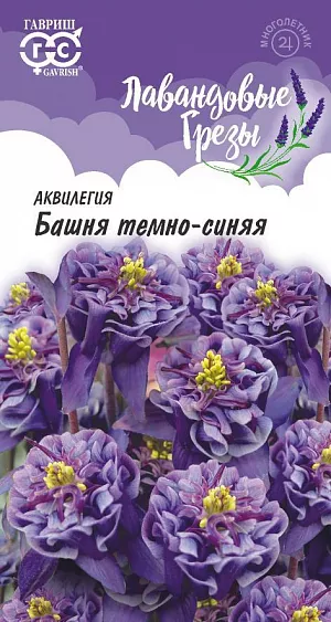 Семена Аквилегия Башня темно-синяя.<br>
 <br>
 Хотите сделать свой палисадник необычным, тогда посадите в цветнике аквилегию — цветок, который никого не оставит равнодушным своей нежностью и хрупкостью. Имея красивые и яркой окраски цветы, растение идеально впишется в любой уголок вашего участка. Растение многолетнее. <br>
 <br>
 Куст довольно высокий, с декоративной листвой и возвышающейся на прочных цветоносах букет изысканно прекрасных плотно-махровых цветков, темно-синей окраски, с короткой шпорой, которые смотрят вверх и никогда не поникают. Пышное и обильное цветение, в первой половине лета. Влаголюбива. Желательно высаживать в полутени, может расти и на солнечных участках. К почве нетребовательна, предпочитает легкие, хорошо удобренные, дренированные участки. <br>
 <br>
На рассаду семена высевают в марте, не заделывая, в ящики с влажным субстратом и ставят на свет. Семена прорастают через 3-4 недели при температуре 18-20оС. Для получения дружных всходов при весеннем посеве семена стратифицируют при температуре +10оС. Предназначена не только для выращивания в открытом грунте, но и для горшечной культуры.