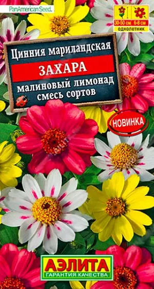 Семена Цинния Захара малиновый лимонад смесь сортов из каталога Цинния Семена Цинния Дабл Захара малиновый лимонад смесь сортов. Потрясающее цветение циннии серии Захара американской селекции от компании PanAmericanSeed, оставляет позади всех своих конкурентов! Растение формирует компактный, крепкий кустик высотой 30-50 см. Цветки крупные 6-8 см, остаются яркими и насыщенными даже в жаркую погоду. Сорт не восприимчив к грибковым заболеваниям. Неприхотлив, поэтому отлично подойдет для всех уголков вашего сада.<br>
Циннии – растения теплолюбивые, быстрорастущие, относительно засухоустойчивые. Предпочитают солнечные участки с дренированными почвами среднего плодородия, нейтральной кислотности. В южных регионах возможен безрассадный способ выращивания.<br>