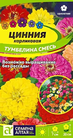 Семена цветы Цинния Тумбелина смесь.<br>
 <br>
 Неприхотливый однолетник. Уникальная смесь карликового типа высотой до 20 см. Цветки георгиновидные махровые и полумахровые различных окрасок, диаметром до 7 см. Прекрасно подходит для оформления клумб, рабаток, альпийских горок, также выращивается как горшечная культура. Растение относительно засухоустойчиво, но требует регулярных поливов, чувствительно даже к легким заморозкам. Предпочитает солнечные, защищенные от ветра теплые участки с дренированной нейтральной, богатой гумусом и минеральными элементами почвой. Посевы на рассаду проводят с конца марта под стекло. Глубина заделки семян 0,5 см. При температуре +22…+25°С всходы появляются на 7-10 день. С развитием первой пары настоящих листочков сеянцы пикируют в отдельные горшочки. В фазе 5-6 листьев проводят формирующую прищипку. В открытый грунт на постоянное место рассаду высаживают в конце мая – начале июня, когда минует угроза заморозков. Схема посадки – 20х20 см. Возможен прямой посев семян в открытый грунт в мае. Продолжительность цветения с июля до осенних холодов. Удаление увядших соцветий способствует более пышному и продолжительному цветению.<br>