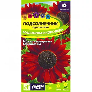 Семена Подсолнечник Малиновая Королева Семена Подсолнечник Малиновая Королева