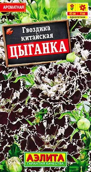 Семена Гвоздика китайская Цыганка. Великолепный сорт с уникальной расцветкой. Формирует компактные кусты высотой 35-40 см. с крепкими цветоносами. Соцветия в основном одиночные, махровые, крупные – диаметром 4 см, с легким ароматом. Цветение обильное и продолжительное, до морозов. Растения используют для оформления цветников, балконных контейнеров, горшков. Сорт отлично подходит для срезки.<br>
 <br>
 В фазе одной пары листьев сеянцы пикируют. При развитии трех пар листьев проводят формирующую прищипку. Растения неприхотливые, засухоустойчивые и холодостойкие, хорошо развиваются на солнечных участках с дренированными почвами нейтральной кислотности. В южных регионах возможен прямой посев семян в открытый грунт.<br>
 <br>
 <br>
 <br>
 <br>