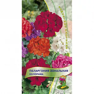 Семена Пеларгония зональная Колорама