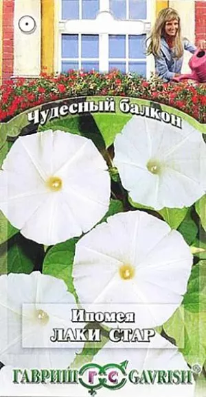 Семена Ипомея Лаки Стар<br>
 <br>
 Этот сорт порадует любителей плотных зеленых ширм на балконах. Растения с мощным ростом и интенсивным ветвлением создадут приятный тенистый уголок. Удивительная ипомея «блистает во всей красе» только при недостатке света: ее огромные цветки распускаются полностью в пасмурную погоду, в вечернее и ночное время. Цветки воронковидные, молочно-белые, очень эффектные до 10 см, Цветет с июля и до первых заморозков. Теплолюбива, требовательна к плодородию и влажности почвы. Посев на рассаду производят в марте. <br>